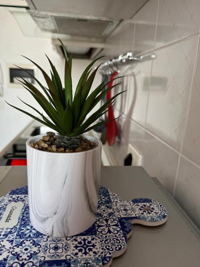 Apartament Sunset 39 Livorno Zewnętrze zdjęcie